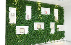 垂直绿化墙4