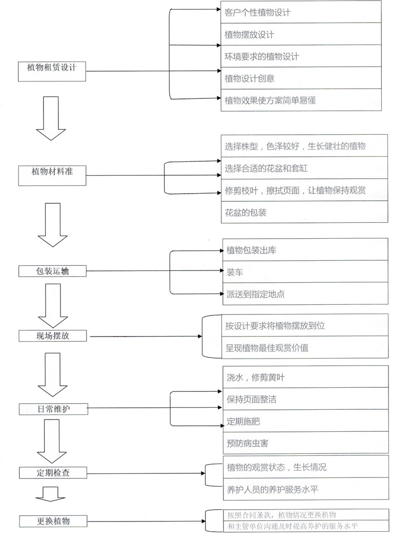 服务流程